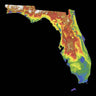 Florida Color Elevation Map Wall Art Poster Print With Black Background