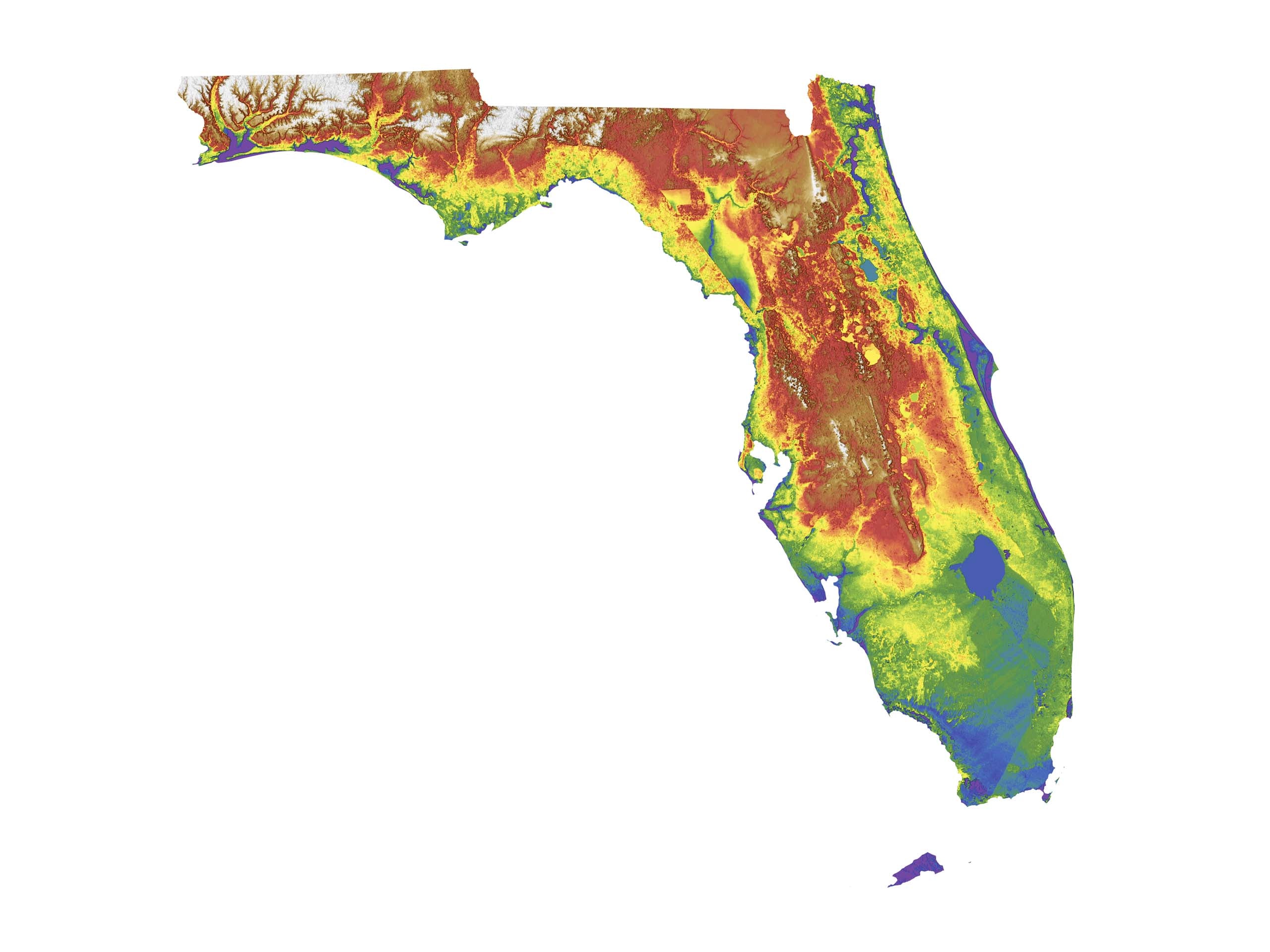 Florida Color Elevation Map Wall Art Poster Print With White Background