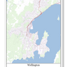 Wellington New Zealand City Map